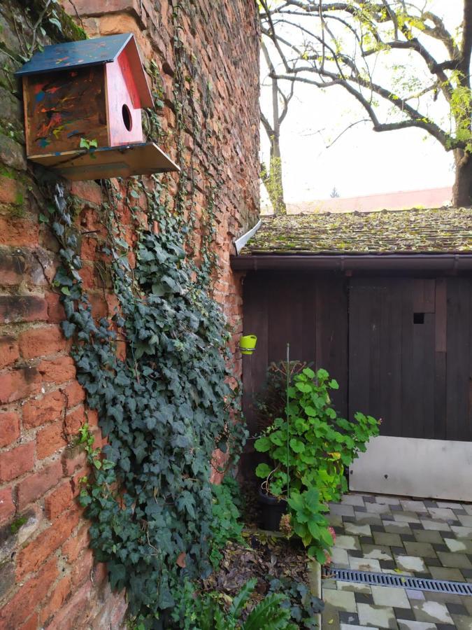 Tiny Cozy Accommodation Zagreb Dış mekan fotoğraf